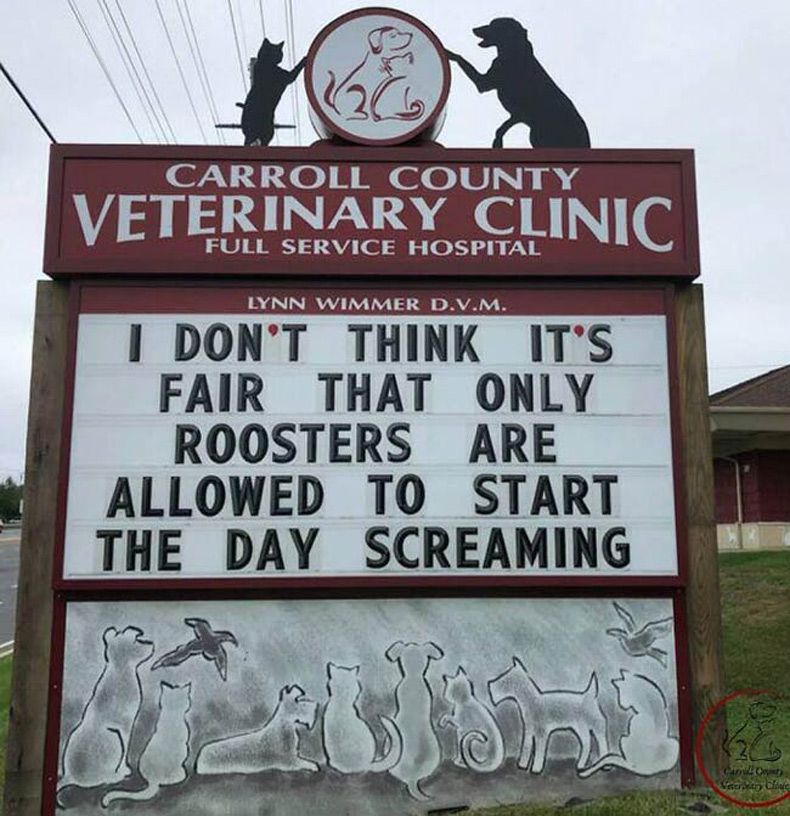 Gewoon een verzameling hilarische foto's #1602