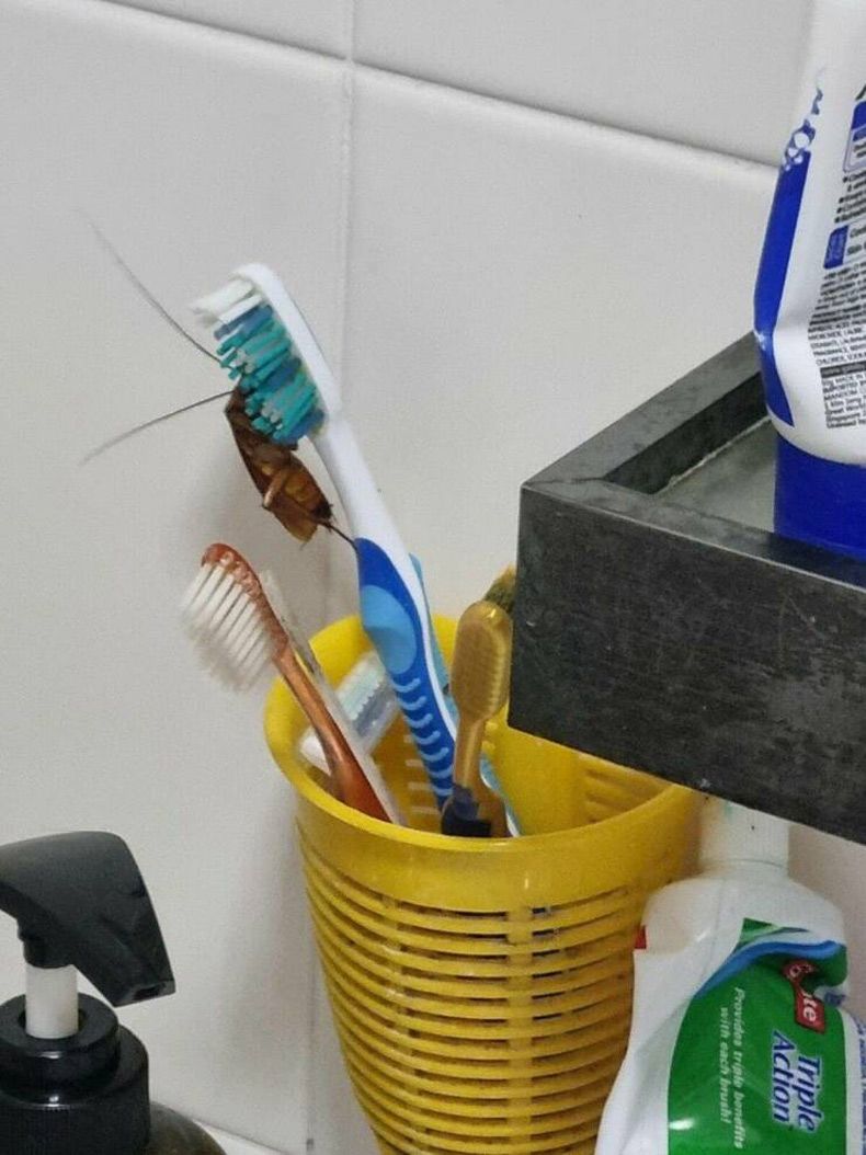Gewoon een verzameling hilarische foto's #1603