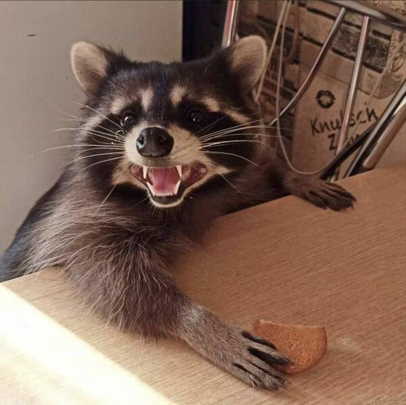 Gewoon een verzameling hilarische foto's #1603