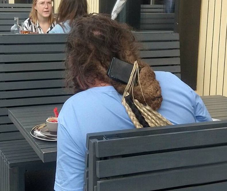 Gewoon een verzameling hilarische foto's #1603