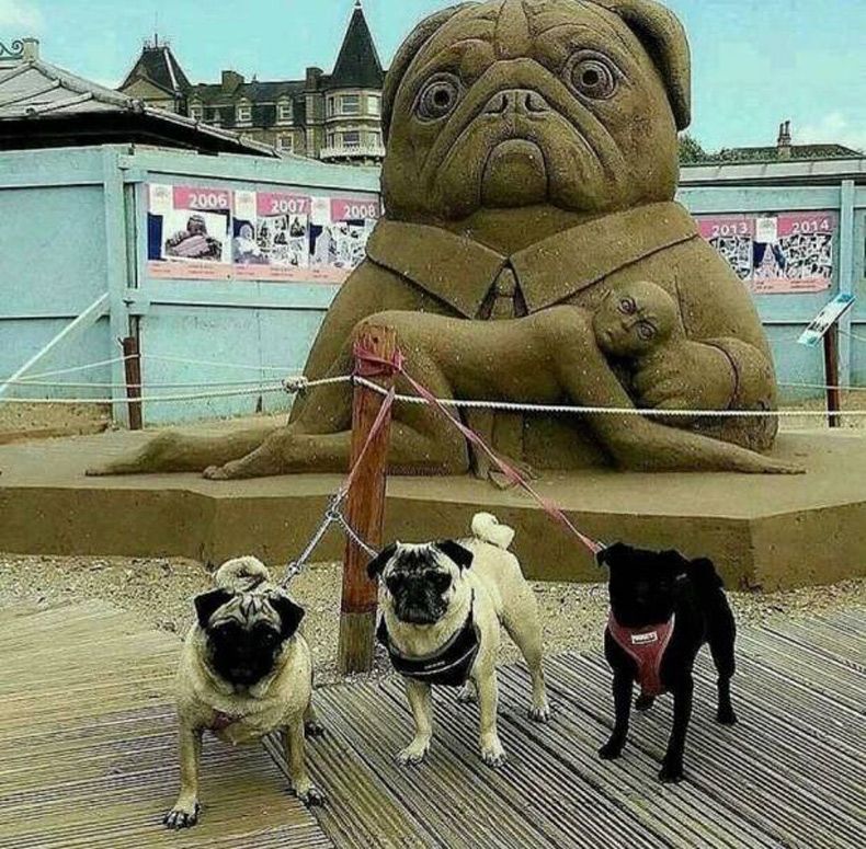 Gewoon een verzameling hilarische foto's #1603