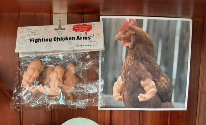 Gewoon een verzameling hilarische foto's #1604