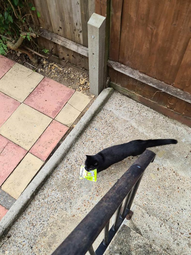 Gewoon een verzameling hilarische foto's #1604