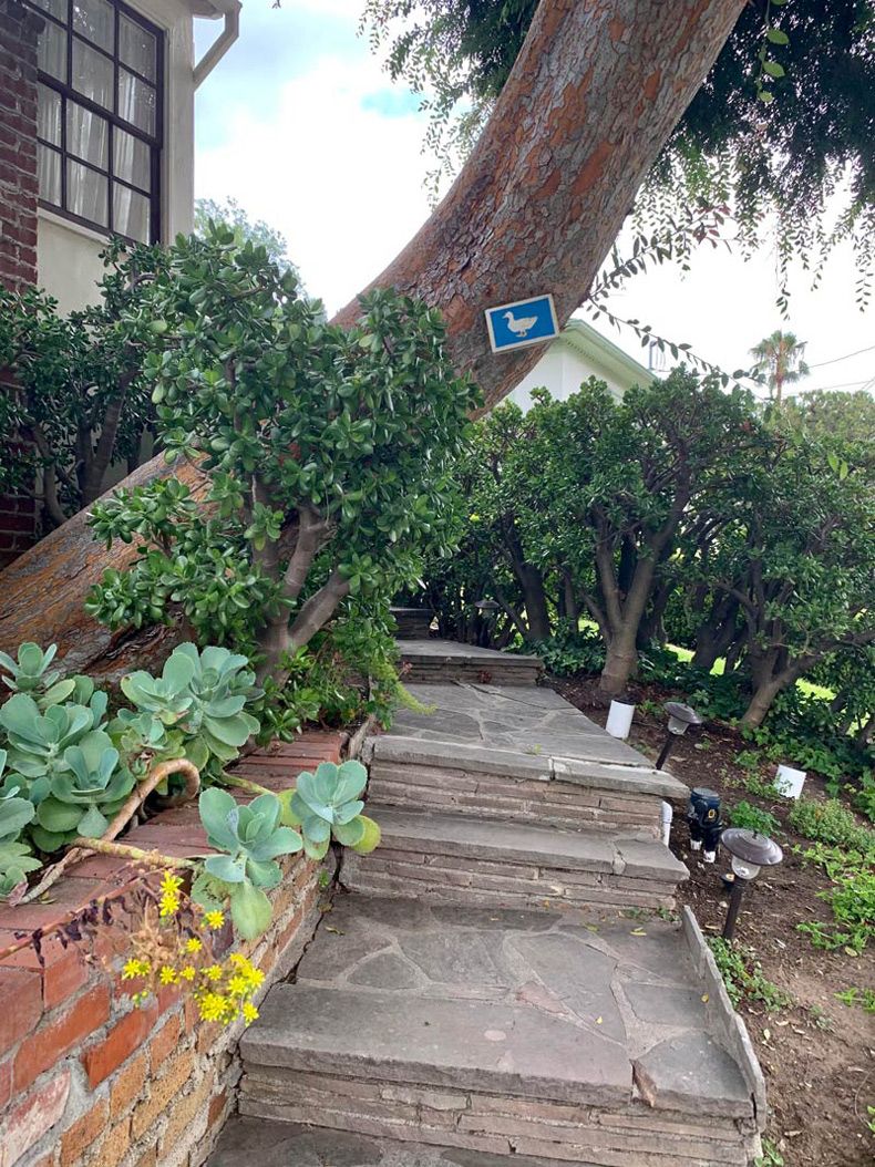 Gewoon een verzameling hilarische foto's #1604