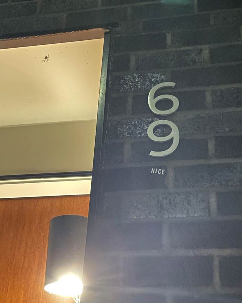 Gewoon een verzameling hilarische foto's #1604