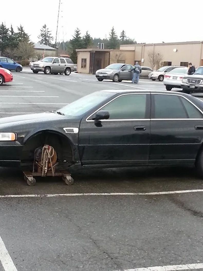 Gewoon een verzameling hilarische foto's #1604