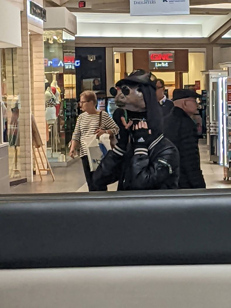 Gewoon een verzameling hilarische foto's #1604