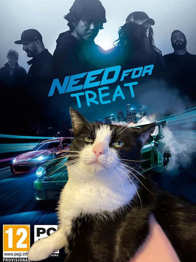 Gewoon een verzameling hilarische foto's #1604