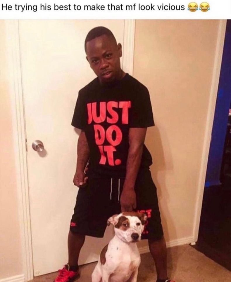 Gewoon een verzameling hilarische foto's #1604