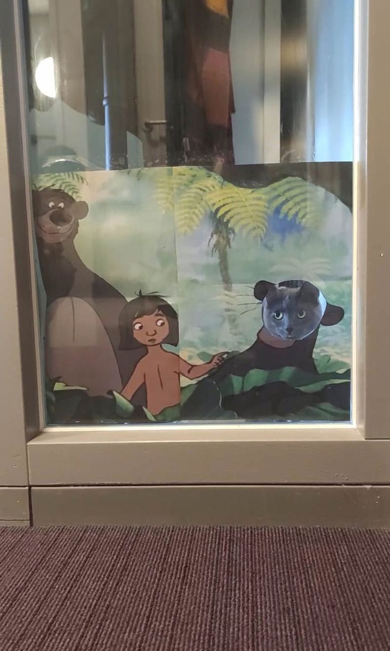 Gewoon een verzameling hilarische foto's #1604