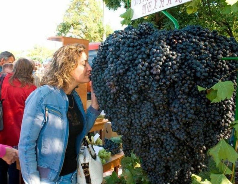 Gewoon een verzameling hilarische foto's #1605