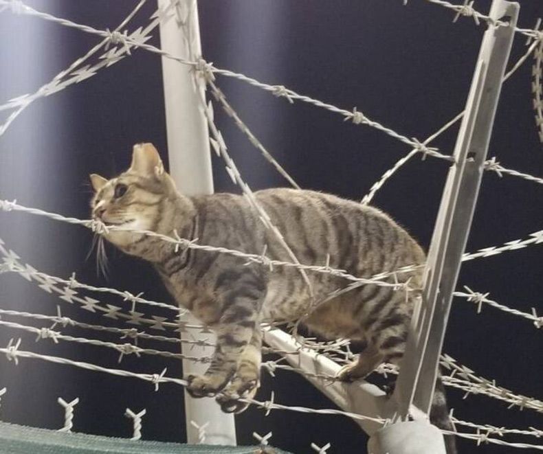 Gewoon een verzameling hilarische foto's #1605