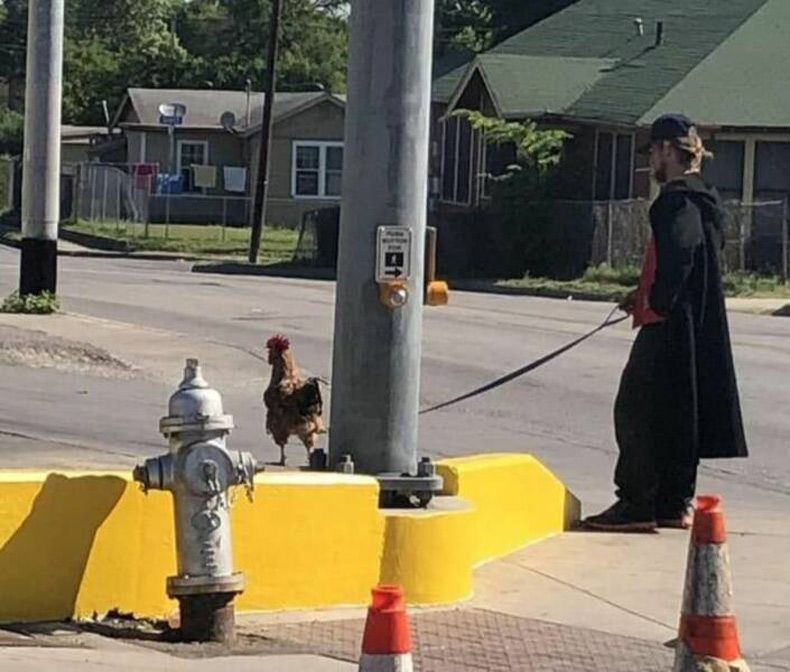 Gewoon een verzameling hilarische foto's #1605