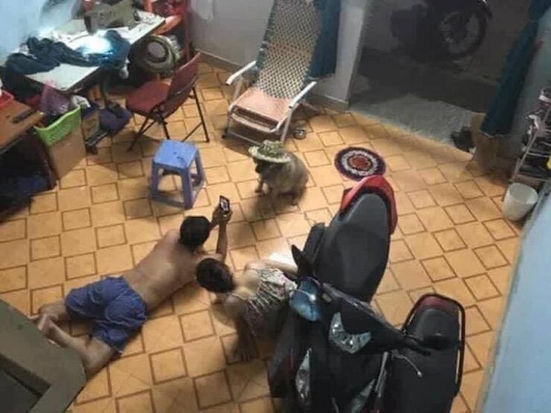 Gewoon een verzameling hilarische foto's #1605