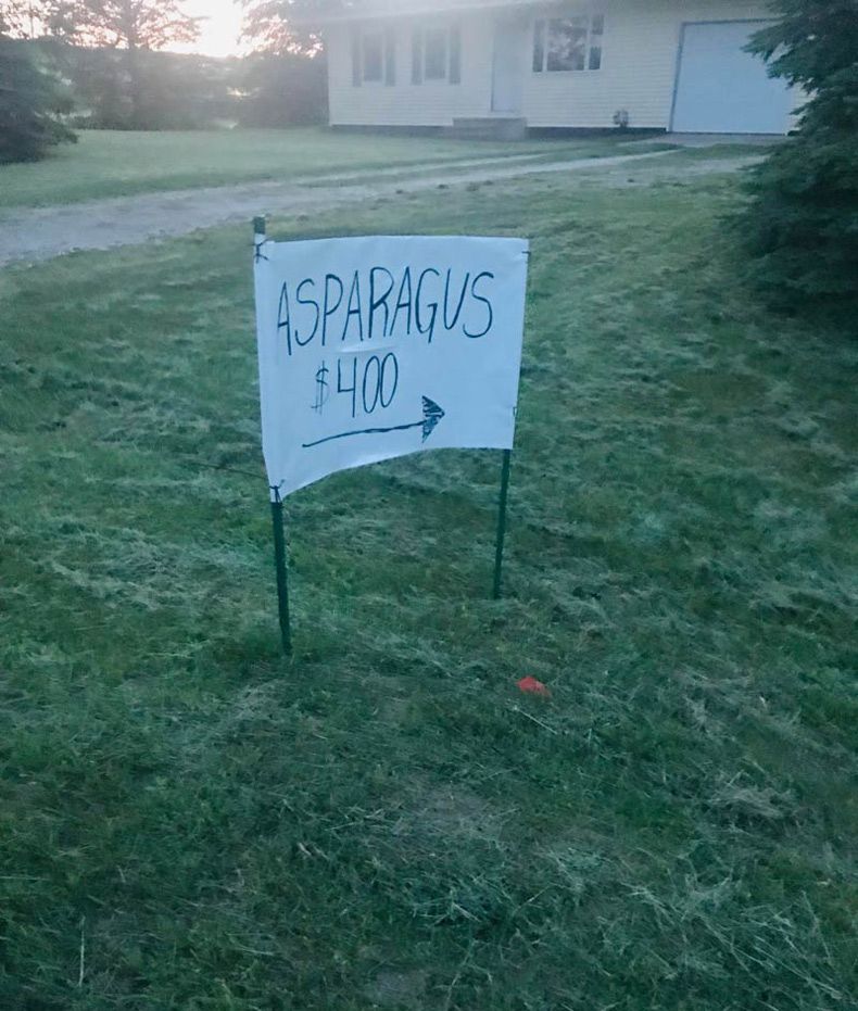 Gewoon een verzameling hilarische foto's #1605