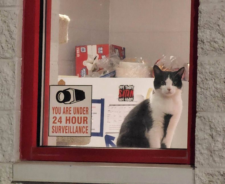 Gewoon een verzameling hilarische foto's #1605