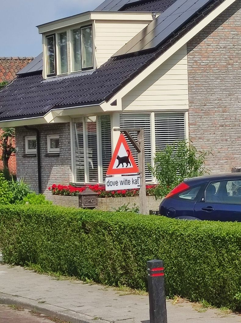 Gewoon een verzameling hilarische foto's #1605