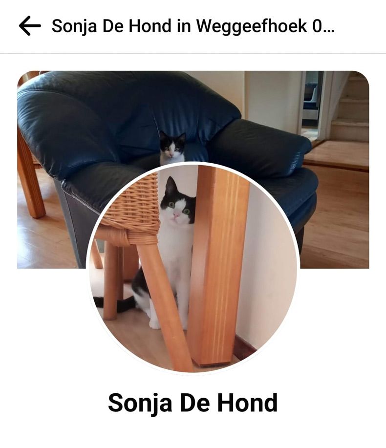 Gewoon een verzameling hilarische foto's #1605