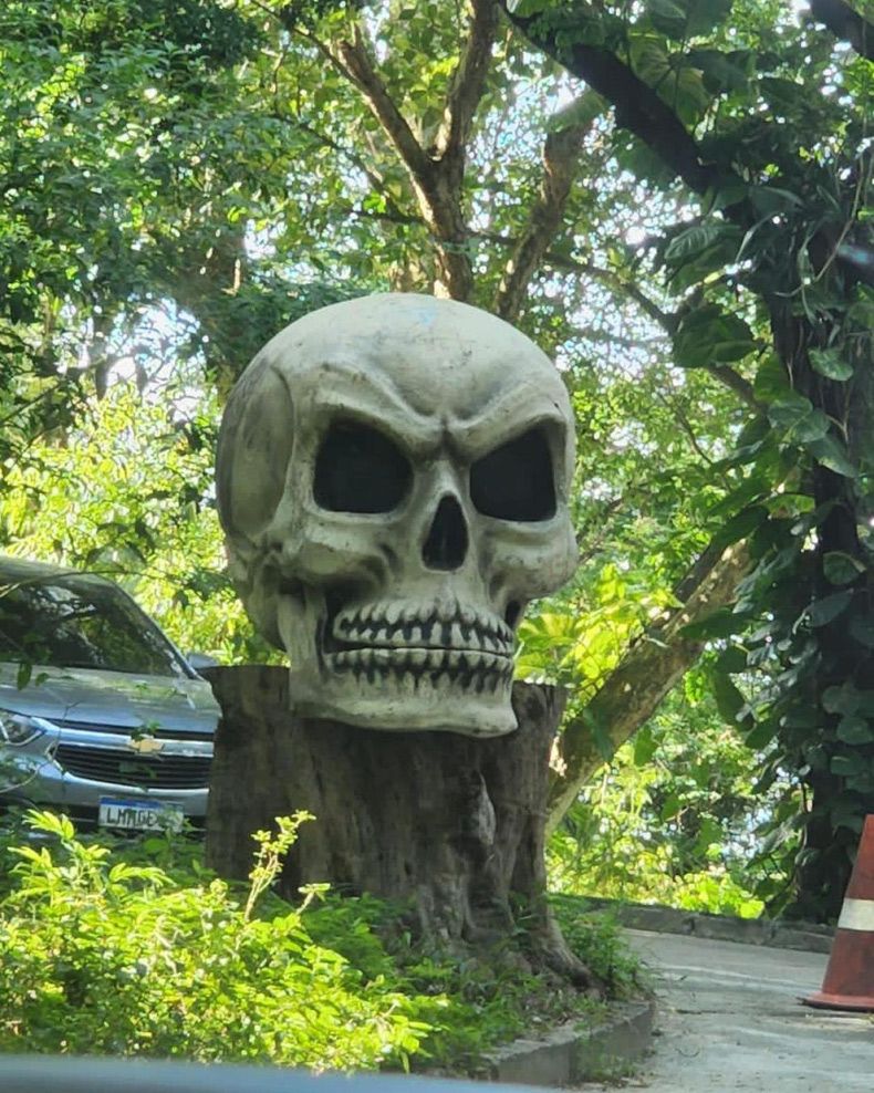 Gewoon een verzameling hilarische foto's #1605