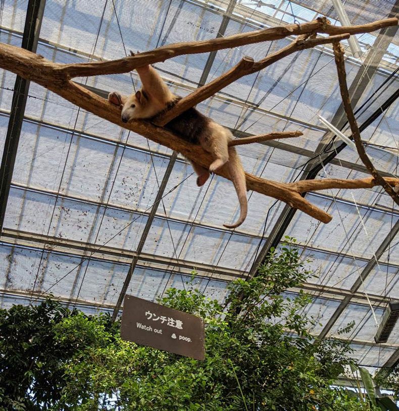 Gewoon een verzameling hilarische foto's #1605