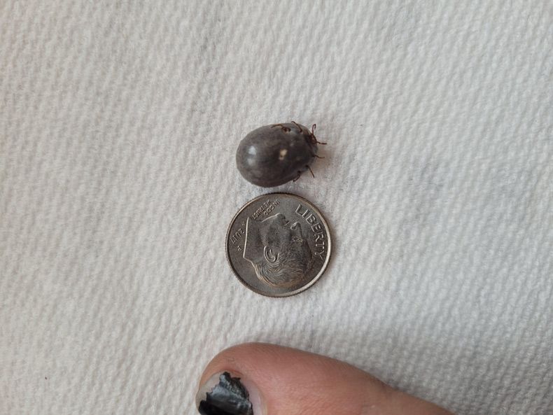 Gewoon een verzameling hilarische foto's #1605