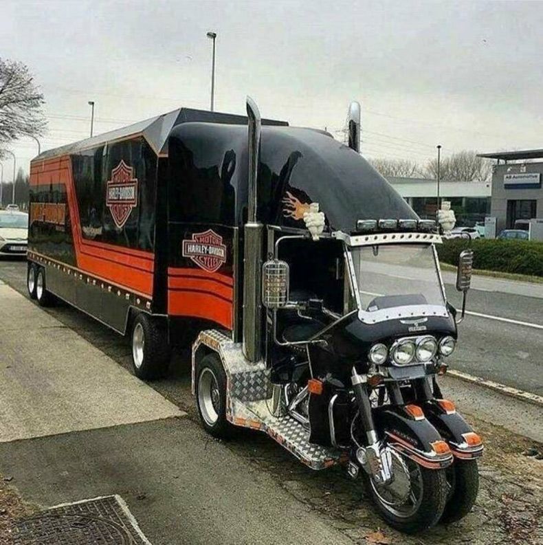 Gewoon een verzameling hilarische foto's #1606