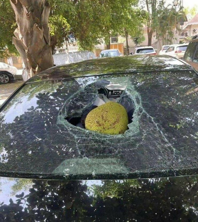 Gewoon een verzameling hilarische foto's #1606