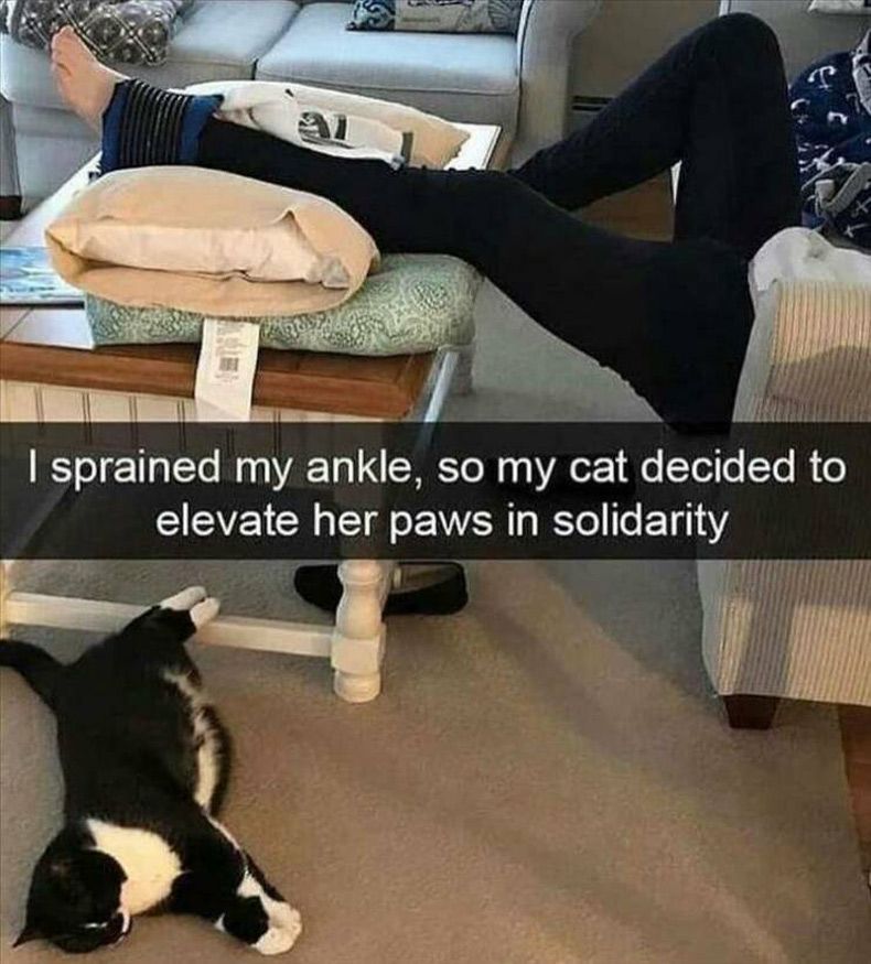 Gewoon een verzameling hilarische foto's #1606