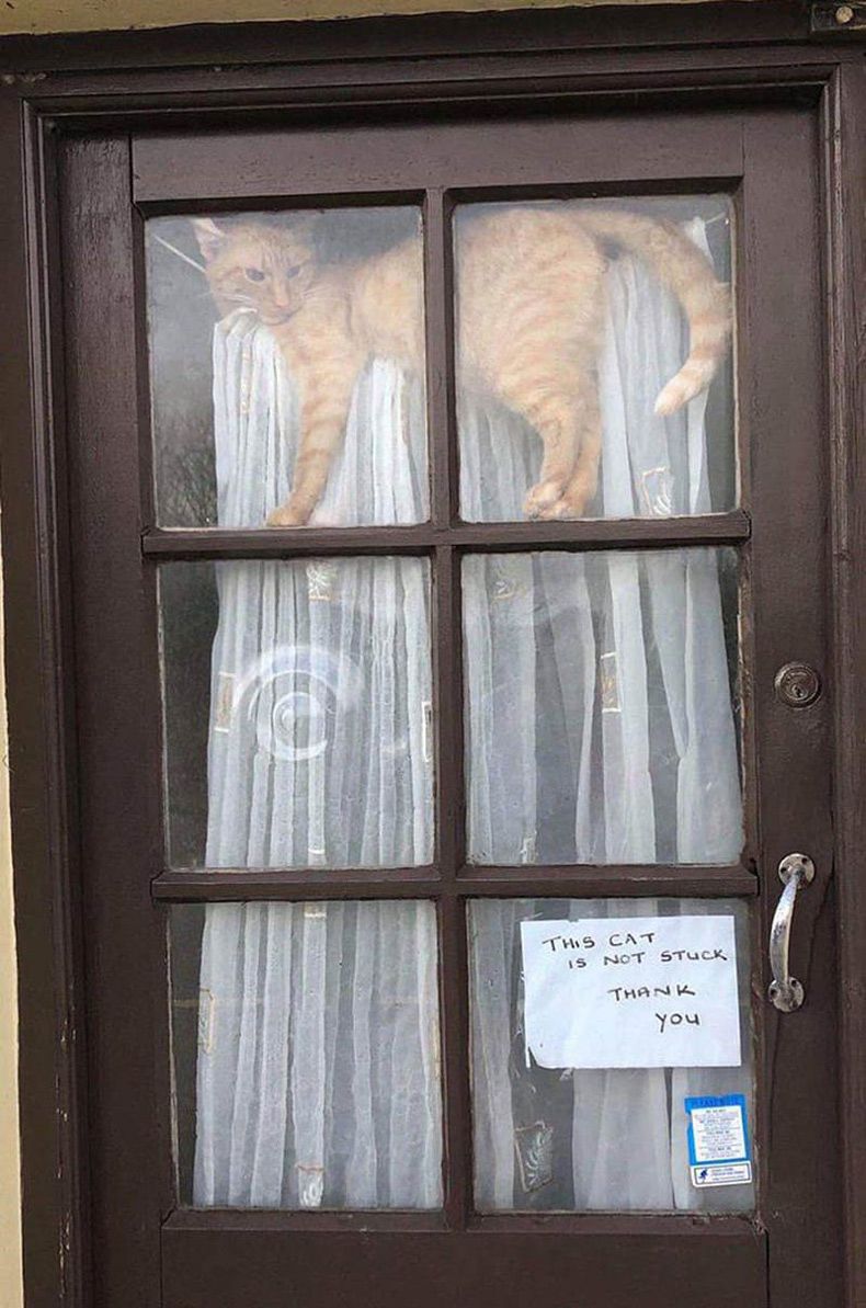 Gewoon een verzameling hilarische foto's #1606