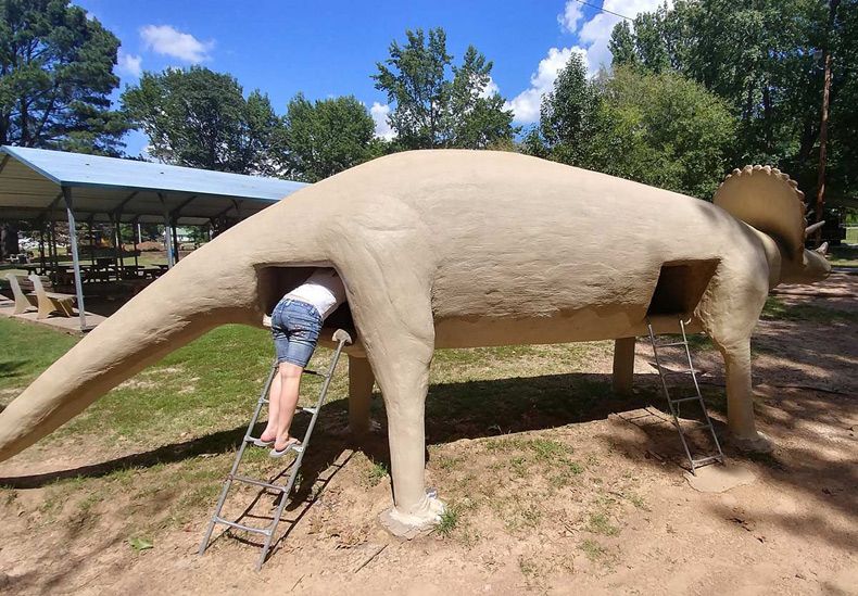 Gewoon een verzameling hilarische foto's #1606