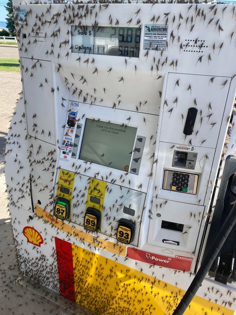 Gewoon een verzameling hilarische foto's #1606