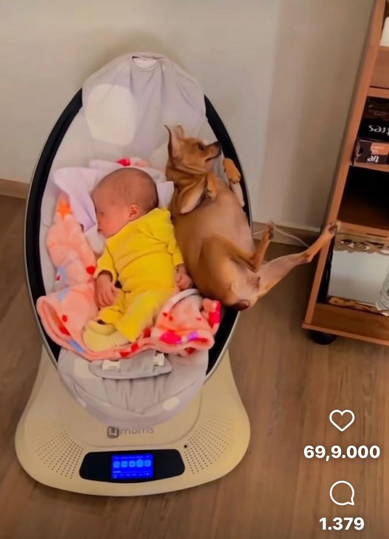 Gewoon een verzameling hilarische foto's #1606