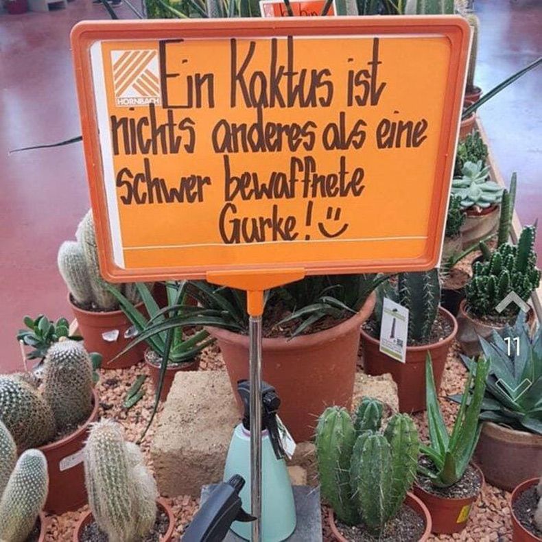 Gewoon een verzameling hilarische foto's #1606