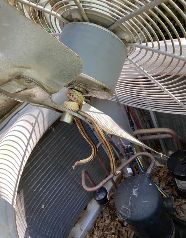 Gewoon een verzameling hilarische foto's #1606