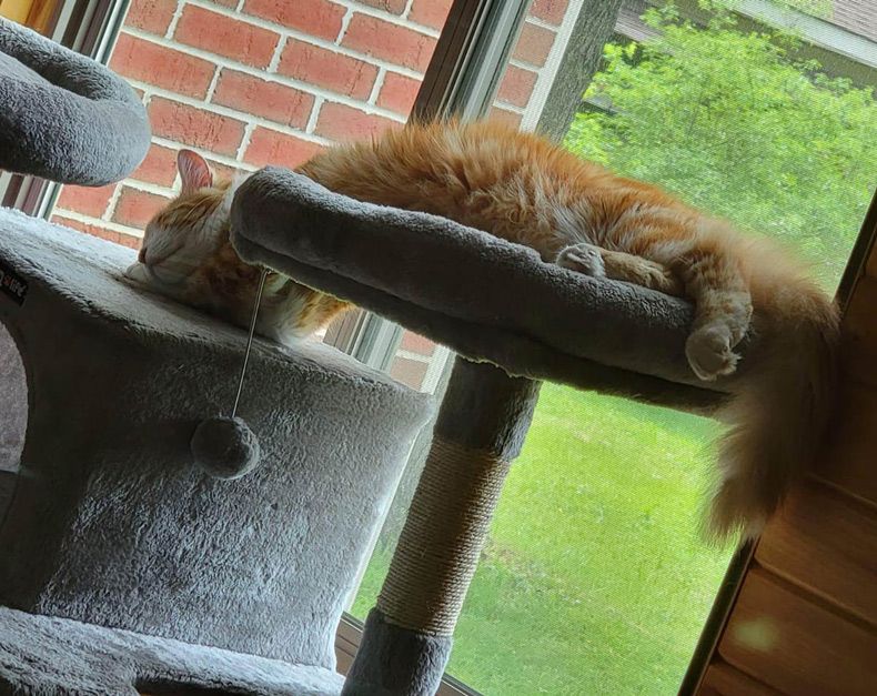 Gewoon een verzameling hilarische foto's #1606