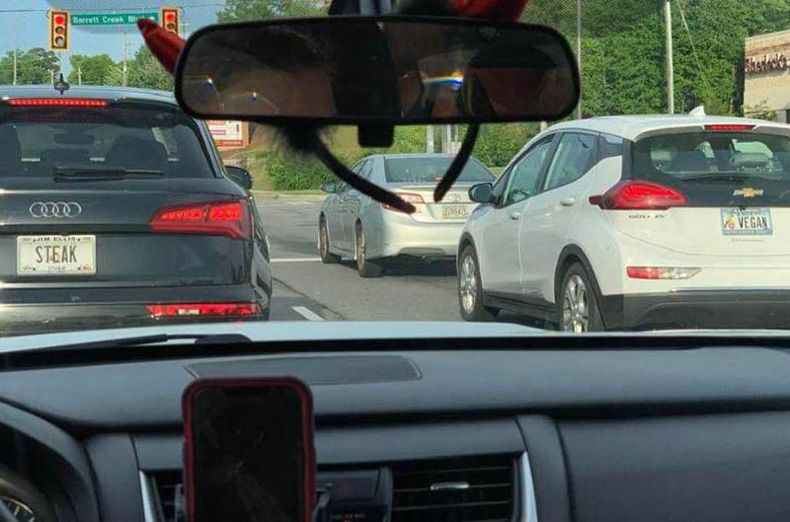 Gewoon een verzameling hilarische foto's #1606