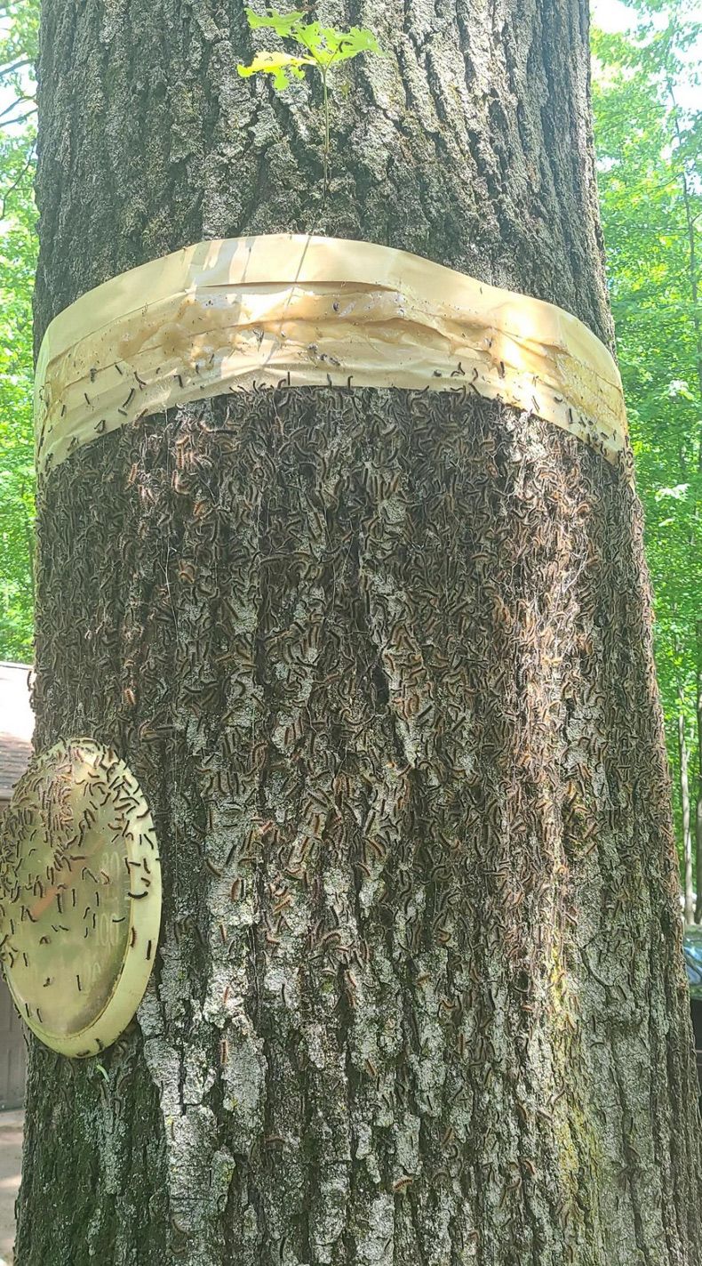 Gewoon een verzameling hilarische foto's #1606