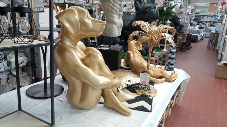 Gewoon een verzameling hilarische foto's #1606