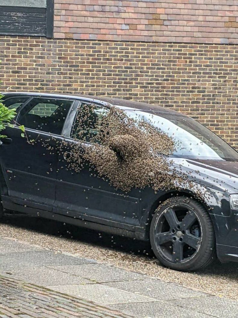 Gewoon een verzameling hilarische foto's #1607