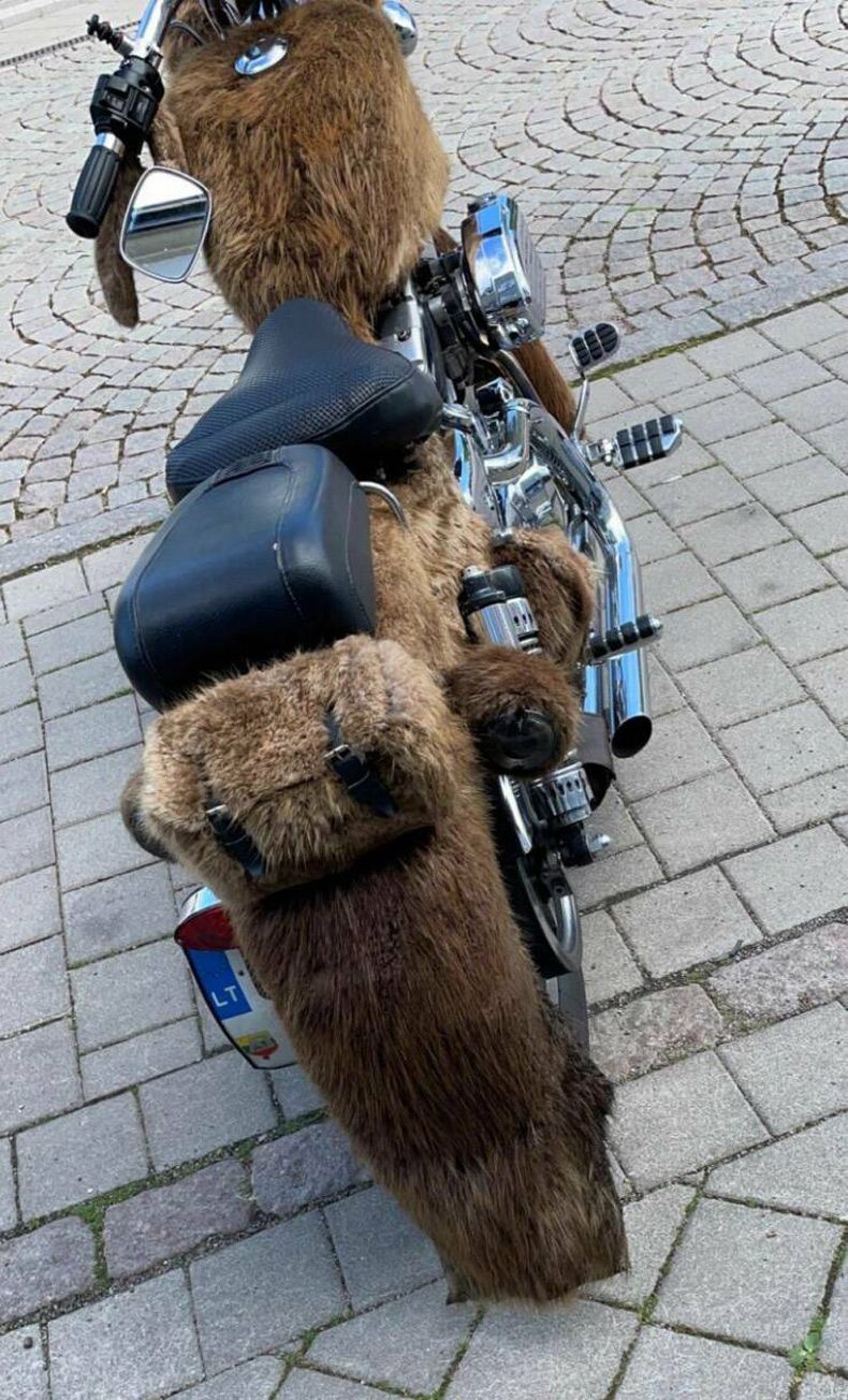 Gewoon een verzameling hilarische foto's #1607