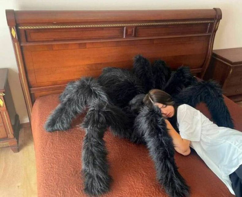 Gewoon een verzameling hilarische foto's #1607