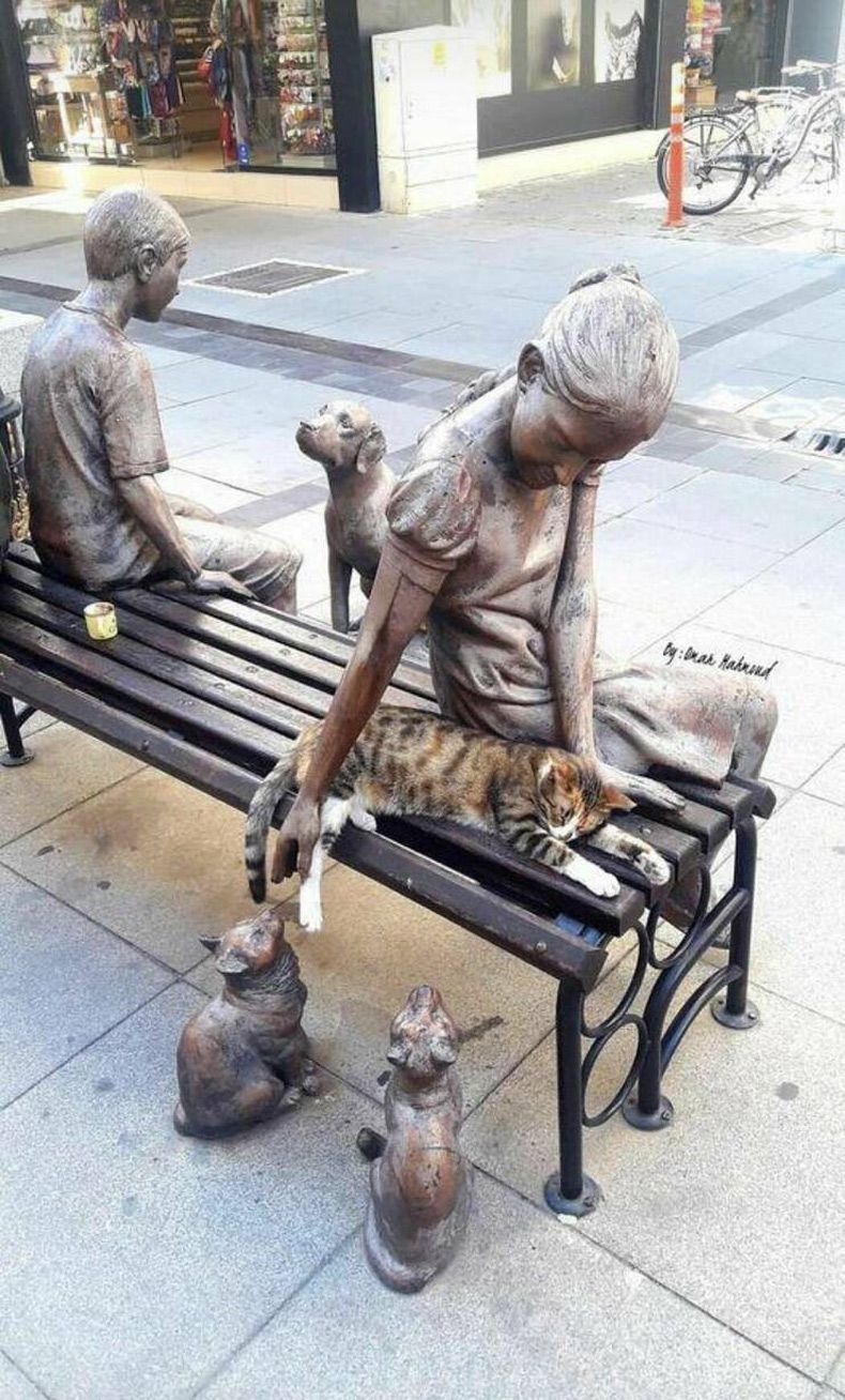 Gewoon een verzameling hilarische foto's #1607