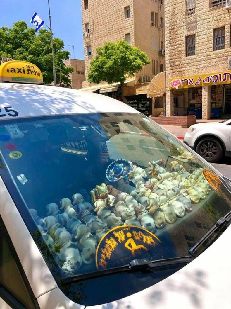 Gewoon een verzameling hilarische foto's #1607