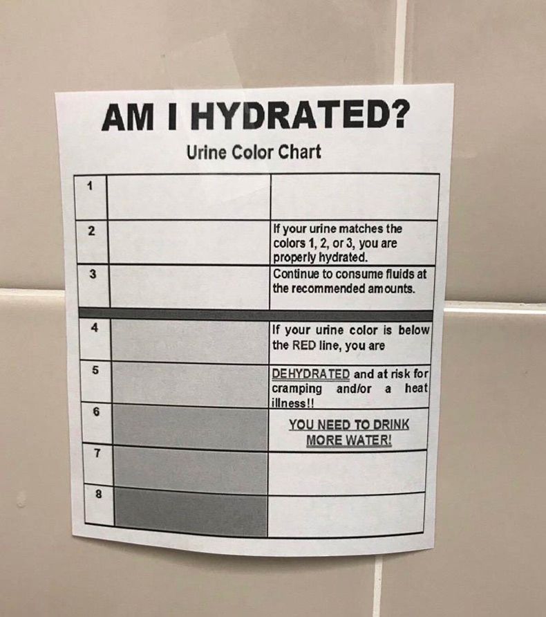 Gewoon een verzameling hilarische foto's #1607