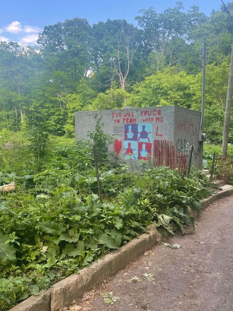 Gewoon een verzameling hilarische foto's #1607