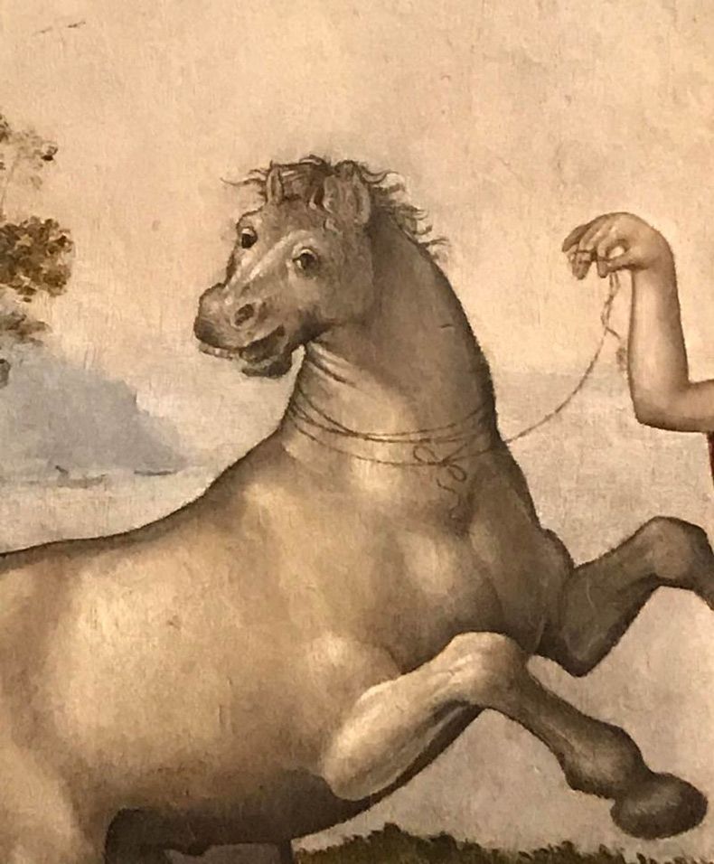 Gewoon een verzameling hilarische foto's #1607