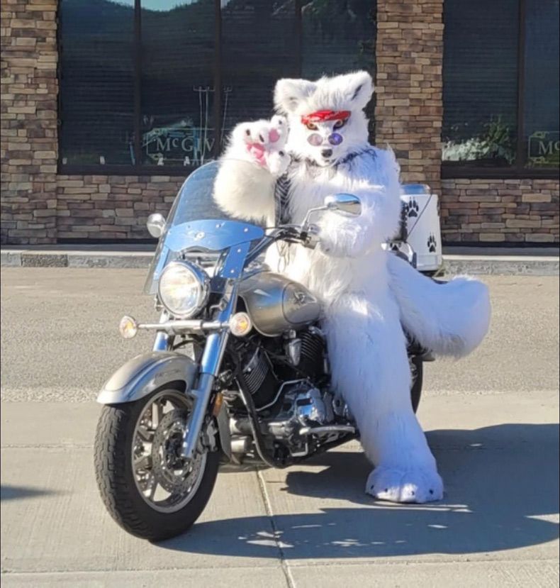 Gewoon een verzameling hilarische foto's #1607