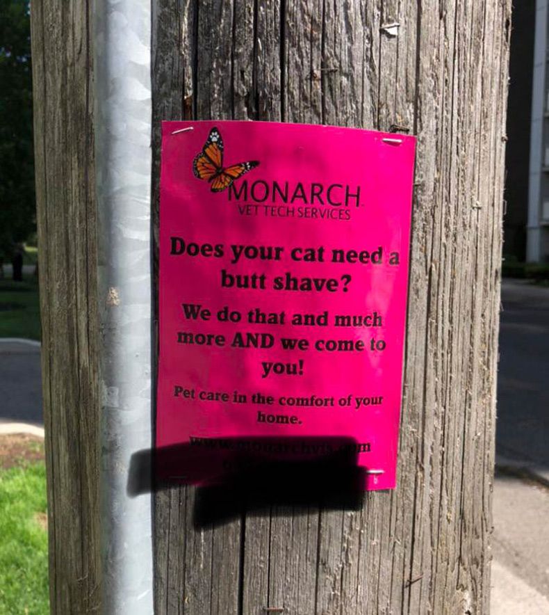 Gewoon een verzameling hilarische foto's #1607