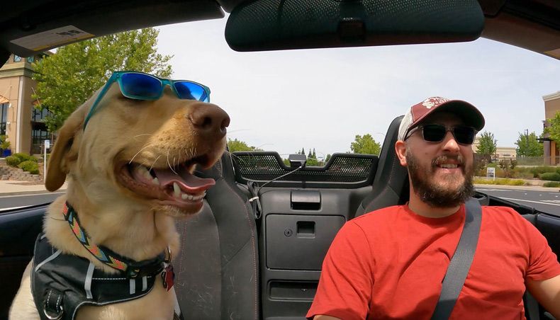 Gewoon een verzameling hilarische foto's #1607