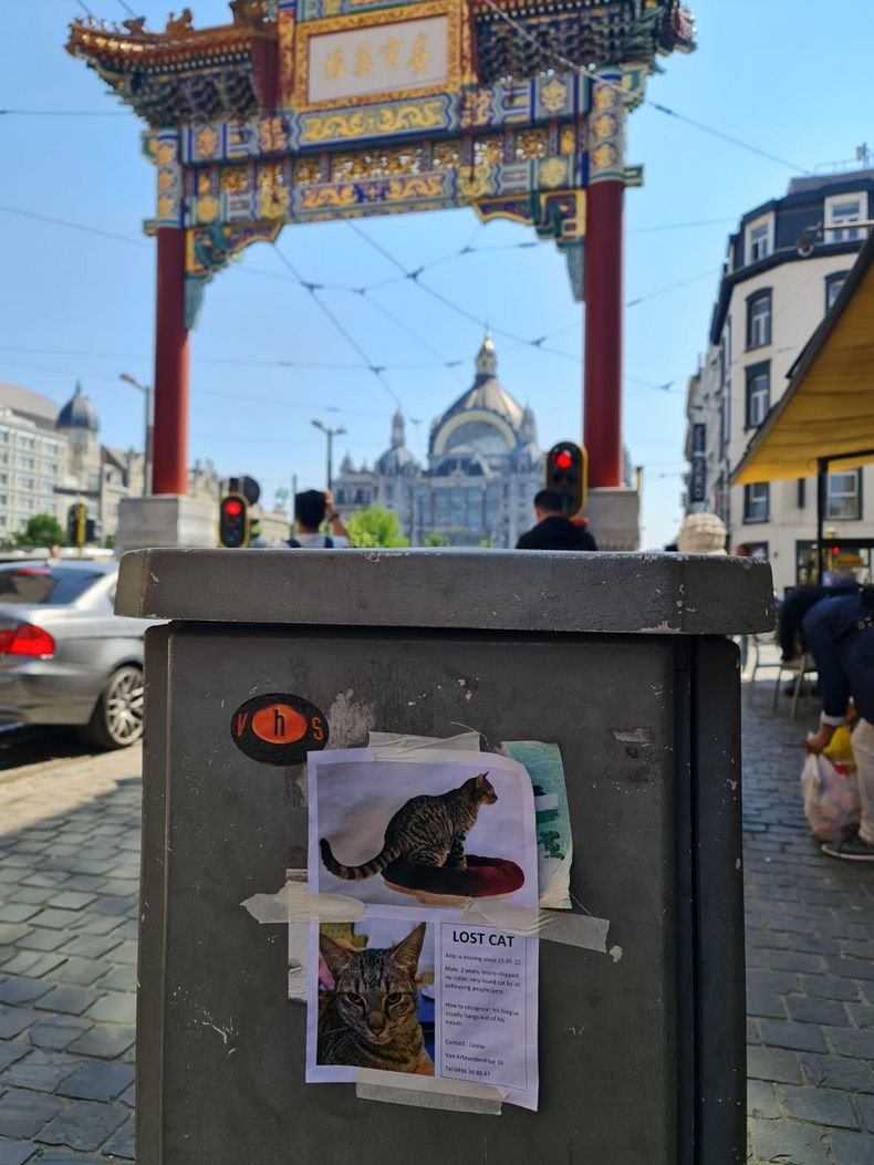 Gewoon een verzameling hilarische foto's #1607